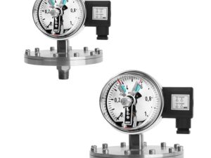 Đồng hồ áp suất Wise P502