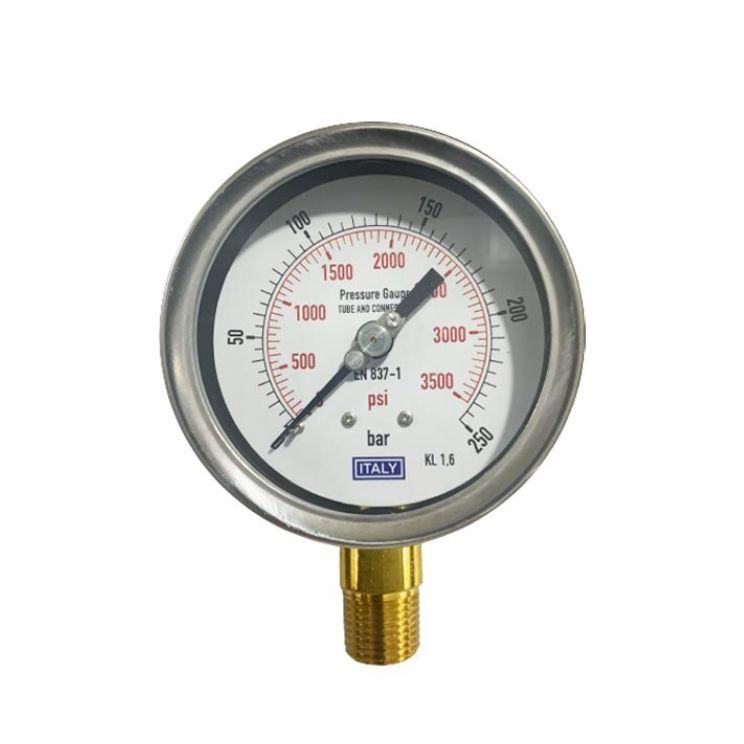 Đồng hồ áp suất chân đứng 250bar Italy 100mm chân đồng 1 Đồng hồ áp suất chân đứng 250bar Italy 100mm