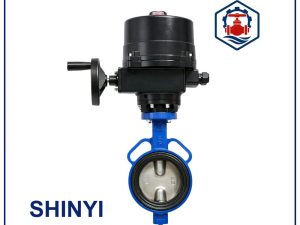 Van Shinyi EOM
