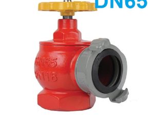 van góc chữa cháy DN65