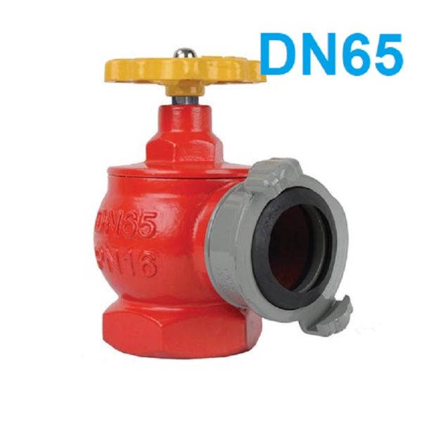 van góc chữa cháy DN65