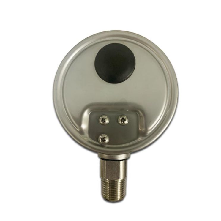 Đồng hồ áp suất chân đứng 600bar ITALY 100mm inox 2 Đồng hồ áp suất chân đứng 1000bar italy