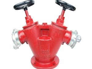 Họng tiếp nước chữa cháy Fuji