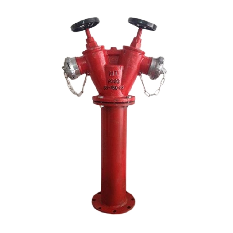 Trụ tiếp nước chữa cháy 2 cửa d65 1 trụ chữa cháy 2 cửa