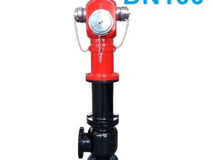 trụ cứu hỏa DN100