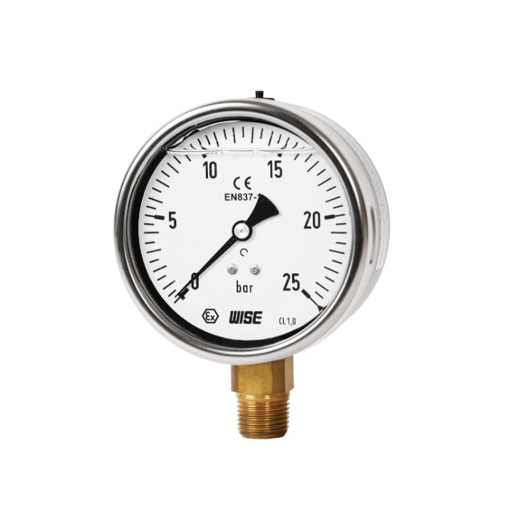 Đồng hồ áp suất Wise P259 8 Đồng hồ áp suất Wise