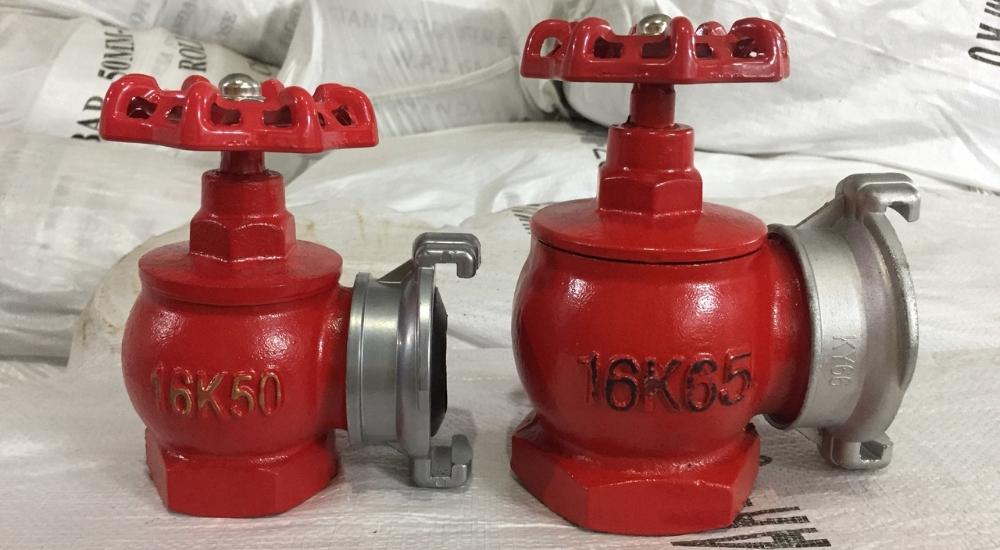 Van góc chữa cháy dn65