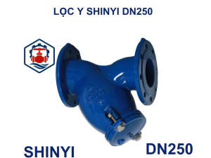 Lọc y Shinyi DN250