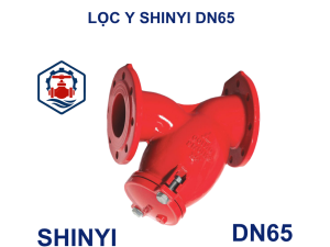 Lọc y Shinyi DN65