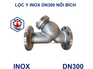 Lọc y inox DN300 nối bích