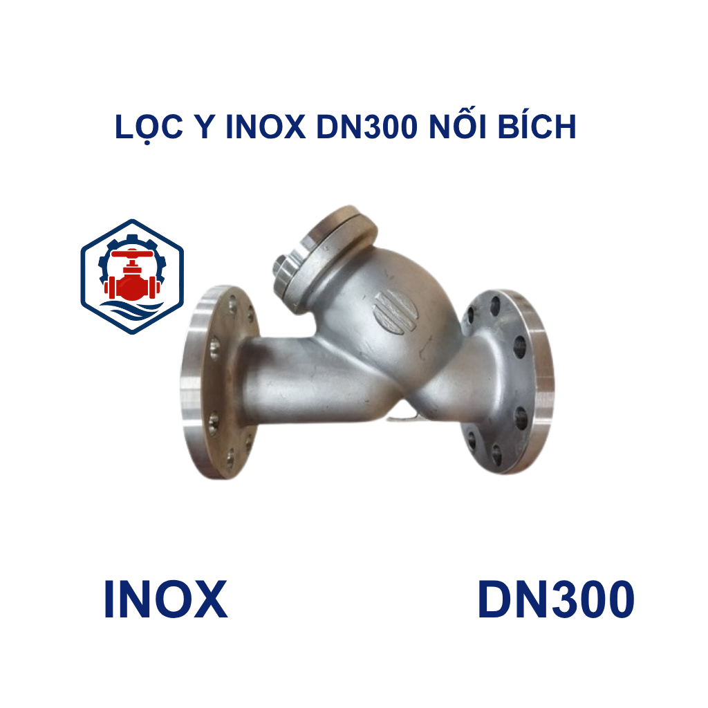 Lọc y inox DN300 nối bích 8 Lọc y inox DN300 nối bích
