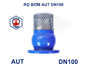 Rọ bơm AUT DN100
