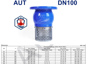 Rọ bơm AUT DN100