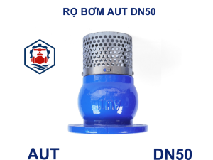 Rọ bơm AUT DN50