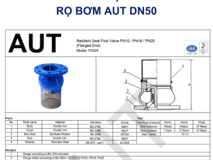 Cấu Tạo Rọ bơm AUT DN50