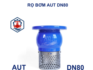 Rọ bơm AUT DN80
