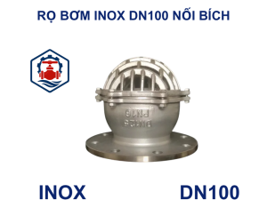 Rọ bơm inox DN100 nối bích