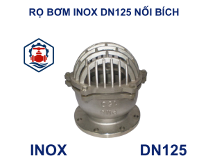 Rọ bơm inox DN125 nối bích