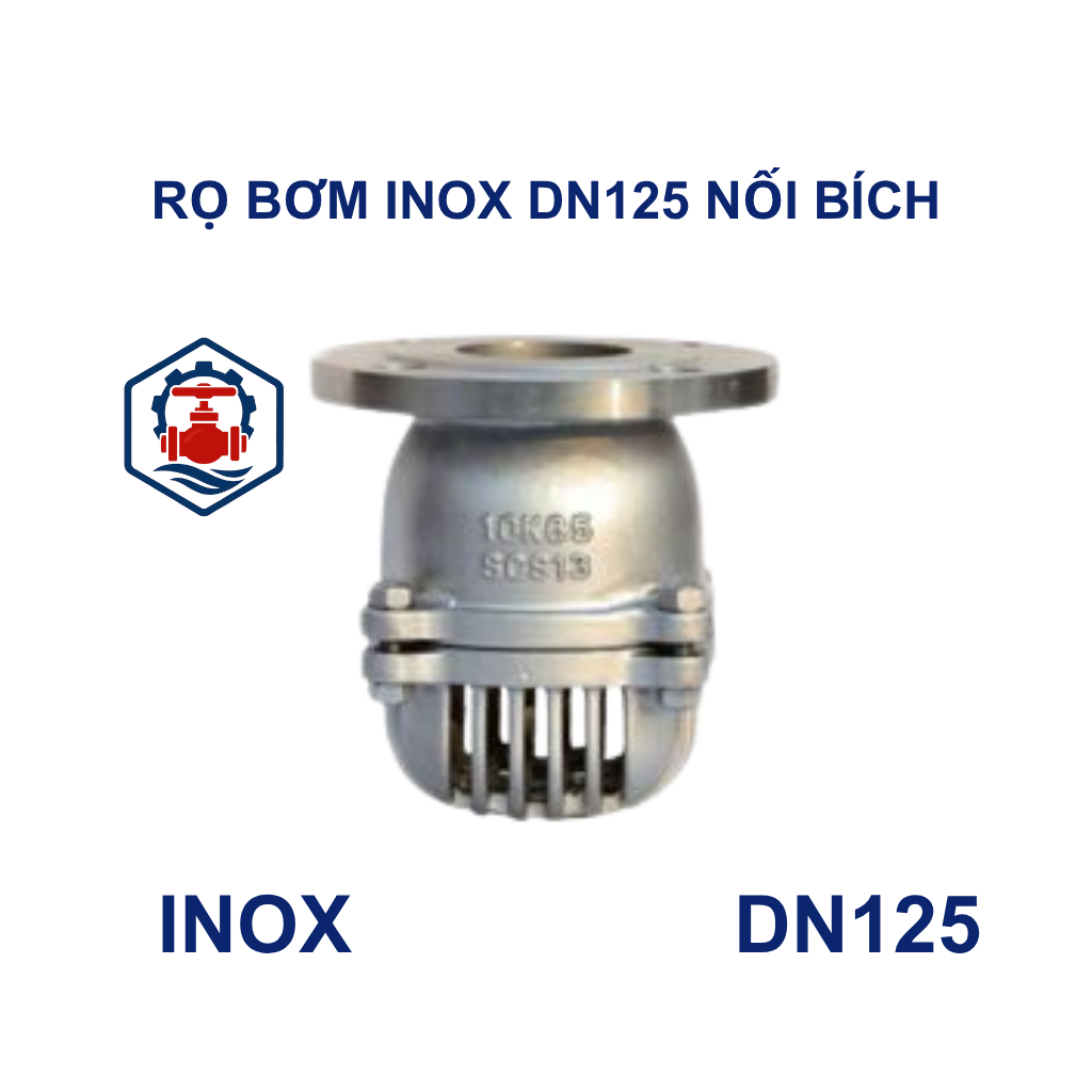 Rọ bơm inox DN125 nối bích 8 Rọ bơm inox DN125 nối bích