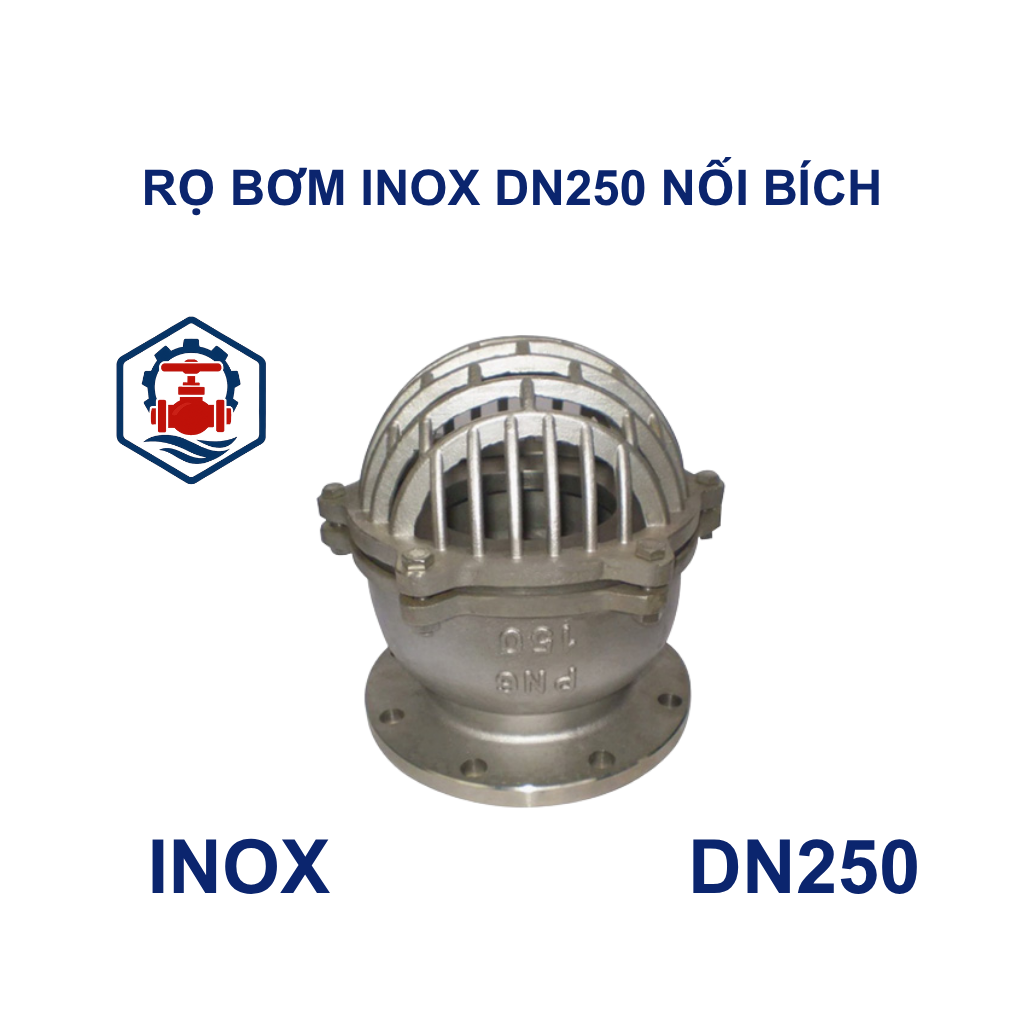 Rọ bơm inox DN250 nối bích 9 Rọ bơm inox DN250 nối bích