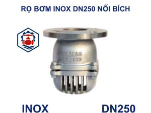 Rọ bơm inox DN250 nối bích 6 Rọ bơm inox DN250 nối bích