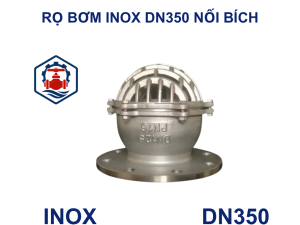 Rọ bơm inox DN350 nối bích