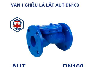 Van 1 chiều lá lật AUT DN100
