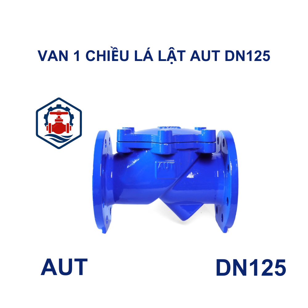 Van 1 chiều lá lật AUT DN125 10 Van 1 chiều lá lật AUT DN125