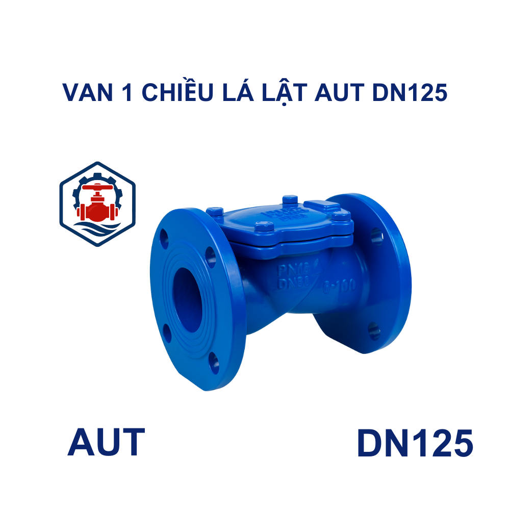 Van 1 chiều lá lật AUT DN125 13 Van 1 chiều lá lật AUT DN125