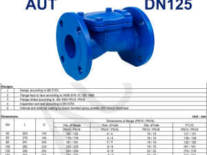 Van 1 chiều lá lật AUT DN125 7 Van 1 chiều lá lật AUT DN125