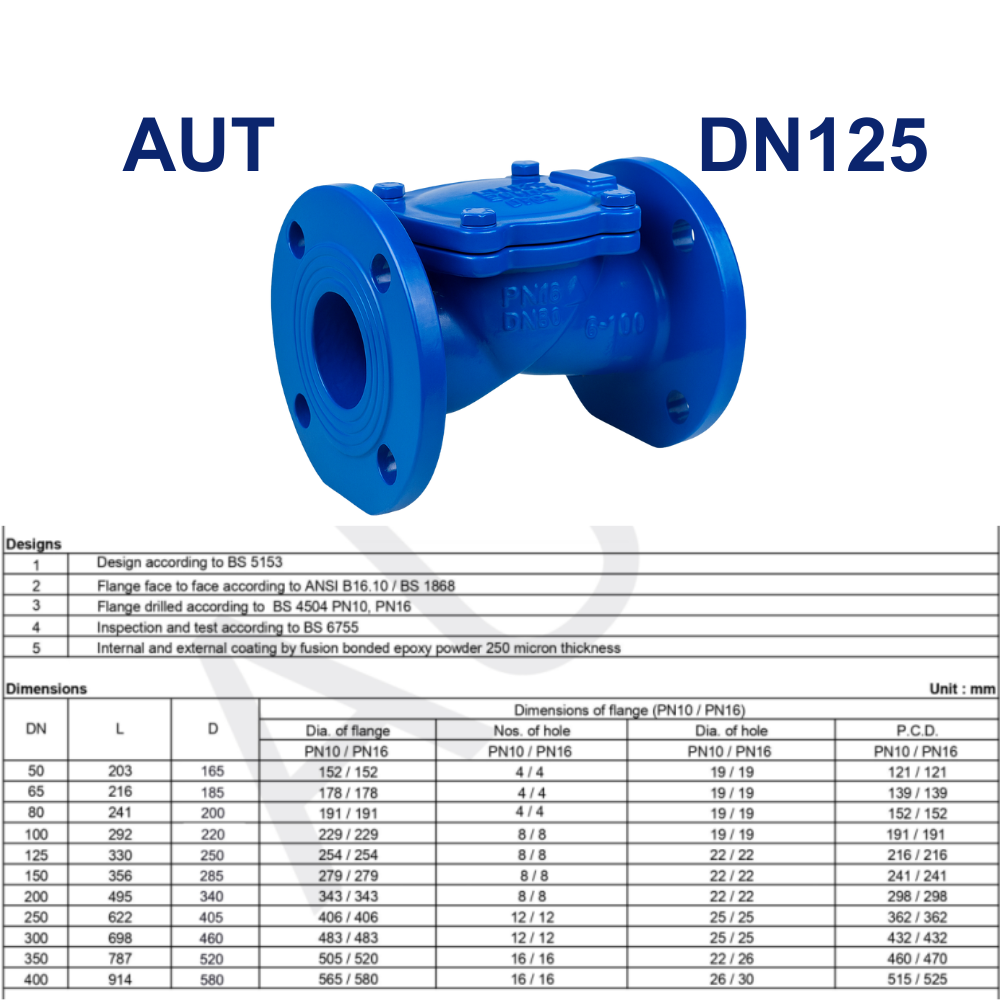 Van 1 chiều lá lật AUT DN125 11 Van 1 chiều lá lật AUT DN125