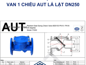 Cấu Tạo Van 1 chiều lá lật AUT DN250