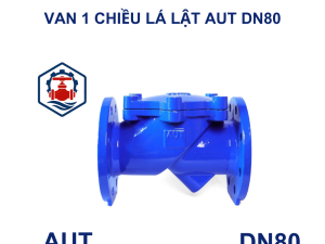 Van 1 chiều lá lật AUT DN80
