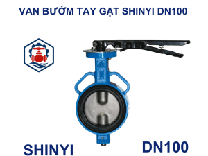 Van 1 chiều lá lật Shinyi DN100