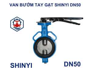 Van 1 chiều lá lật Shinyi DN50