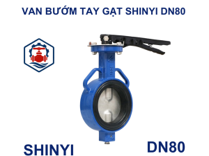Van 1 chiều lá lật Shinyi DN80
