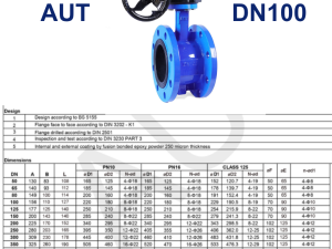 Van bướm mặt bích AUT DN100 9 Van bướm mặt bích AUT DN100