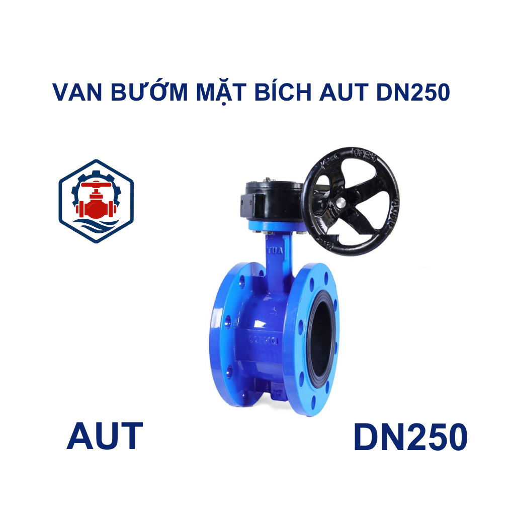 Van bướm mặt bích AUT DN250 13 Van bướm mặt bích AUT DN250