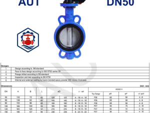 Kích thước Van bướm tay gạt AUT DN50