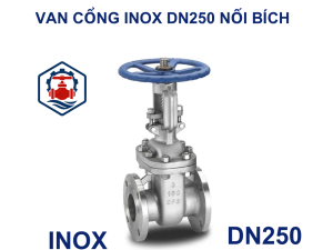 Van cổng inox DN250 nối bích