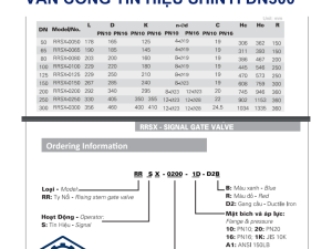 Kích thước Van cổng tín hiệu Shinyi DN300