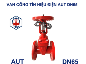 Van cổng tín hiệu điện AUT DN65