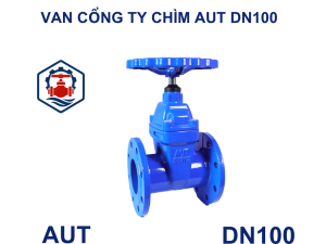 Van cổng ty chìm AUT DN100