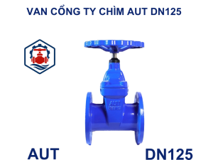 Van cổng ty chìm AUT DN125