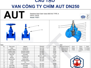 Cấu Tạo Van cổng ty chìm AUT DN250