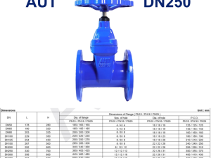 Van cổng ty chìm AUT DN250