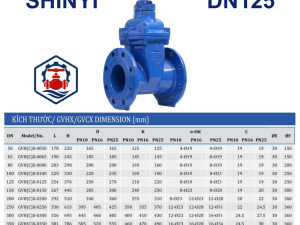 Van cổng ty chìm Shinyi DN125