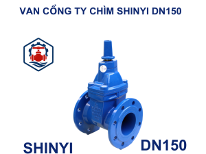 Van cổng ty chìm Shinyi DN150 9 Van cổng ty chìm Shinyi DN150