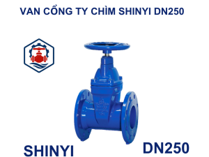 Van cổng ty chìm Shinyi DN250