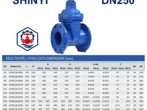 Van cổng ty chìm Shinyi DN250